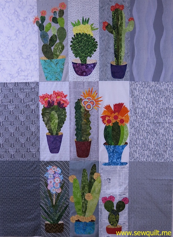 Cactus Collage update