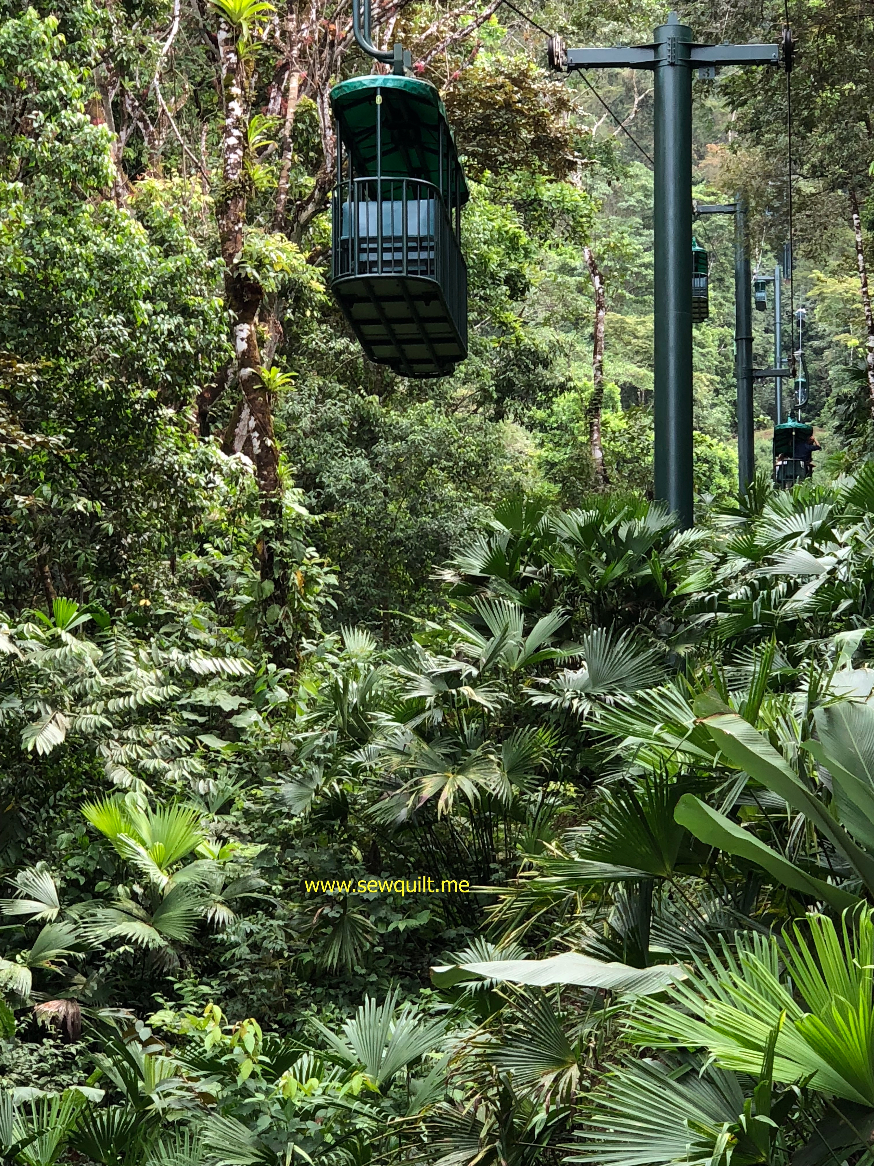 Rain forest gondola